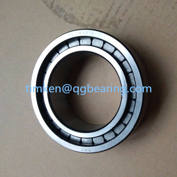 SL183012 INA full complement cylindrical roller bearings