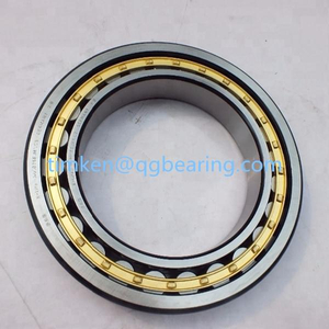 NU1006 cylindrical roller bearing single row