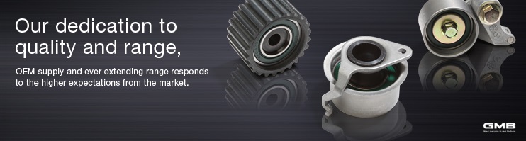 GMB tensioner and idler bearing