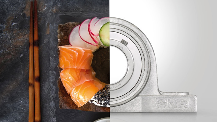NTN SNR bearings for food industry